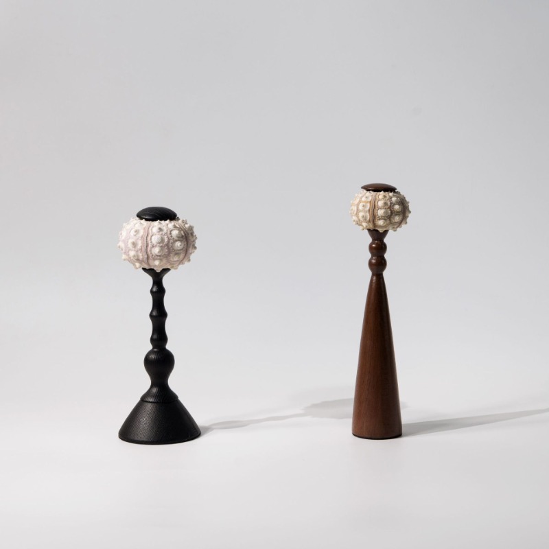 Creative Conch ประติมากรรม Han - Interior Design Organic Modern บทวิจารณ์และราคา