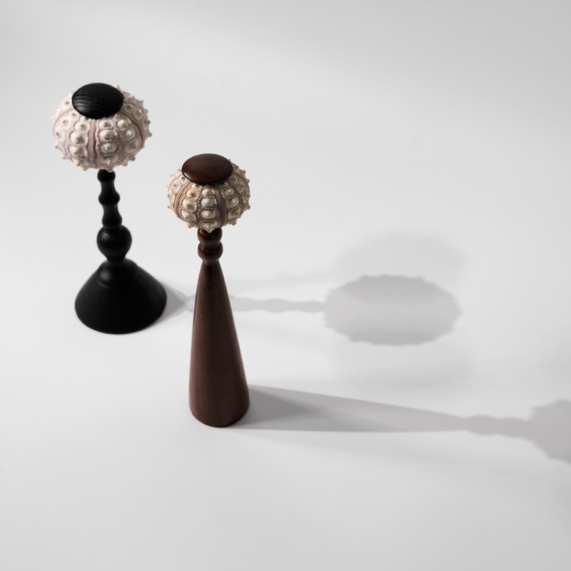 Creative Conch ประติมากรรม Han - Interior Design Organic Modern บทวิจารณ์และราคา