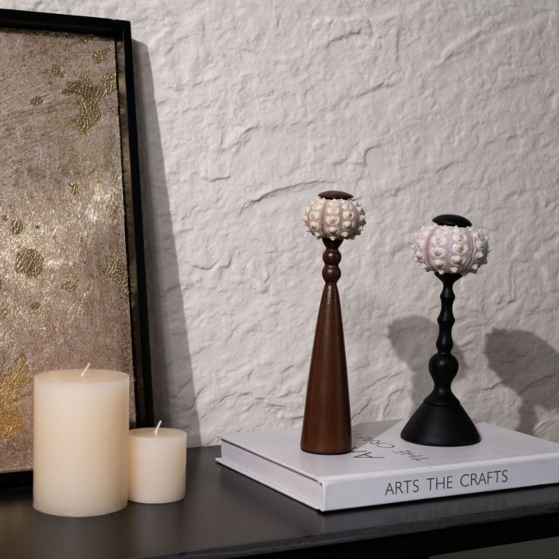 Creative Conch ประติมากรรม Han - Interior Design Organic Modern บทวิจารณ์และราคา